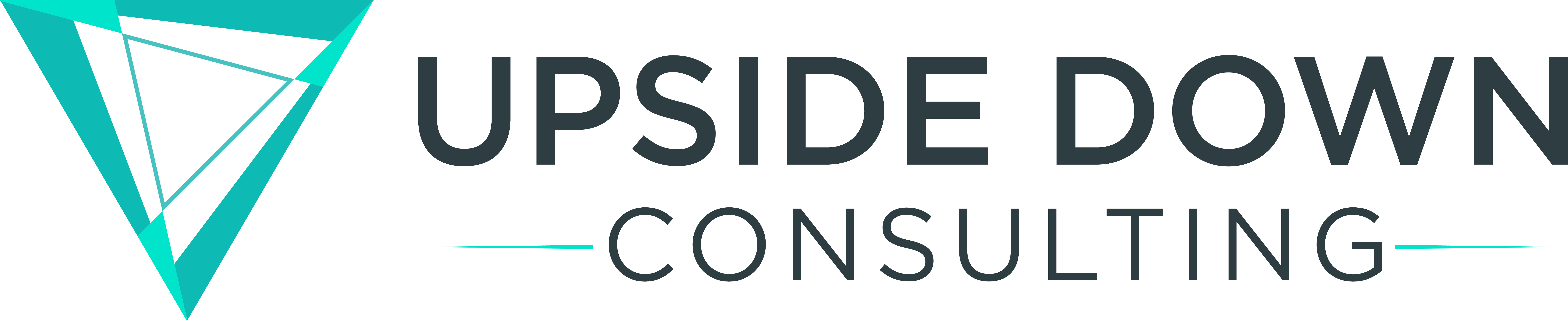 Upside Down Consulting logo - blue triangle next to the text