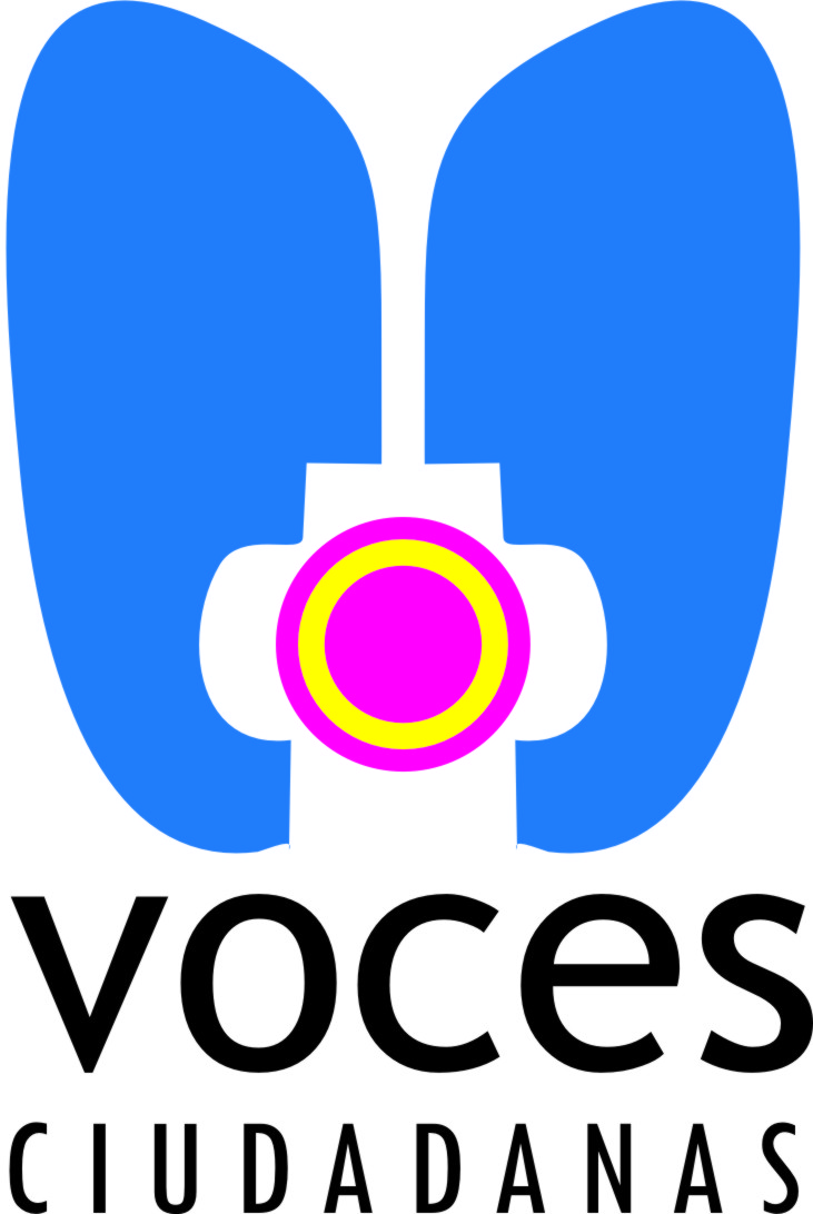 Voces Ciudadanas in black capital letters with a logo of bright shapes above it. two wing-like shapes in bright blue, a circle of pink with a smaller circle of yellow in the center